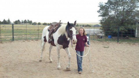 Visit RCA Equestrian Children's Horsemanship Camps