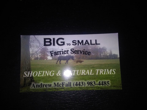 Visit Big to Small farrier service