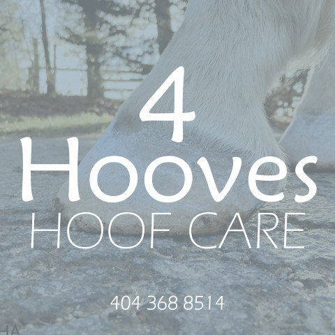 Visit 4 Hooves Hoof Care, LLC