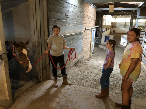 Visit Summer Horsemanship Youth Day Camp