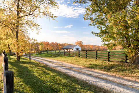 Visit Field Board on Beautiful 125 Acre Farm in Northern Virginia
