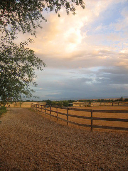 Cappaleigh Farm - Horse Boarding Farm in Longmont, Colorado