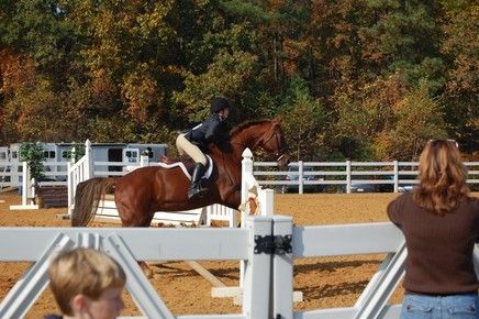 Cornerstone Equestrian, Inc - Riding Instructor In Spotsylvania, Virginia