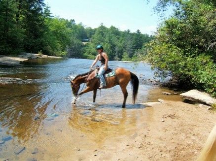 Abernathy Farm - Horse Boarding Farm in Gastonia, North Carolina