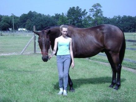 Piddlin' Acres - Horse Boarding Farm in Mobile, Alabama