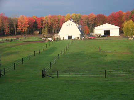 North Riding - Horse Boarding Farm in Cleveland, New York