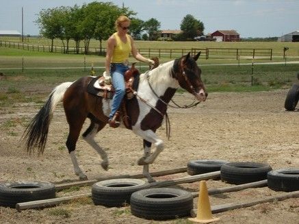 Diamond B Equestrian Center - Riding Instructor In Royse City, Texas