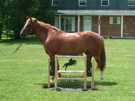 lrc farm - horse boarding farm in delaware, ohio