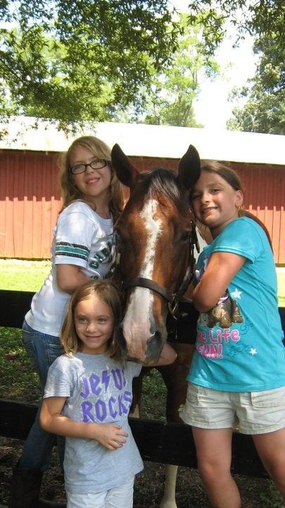 Diamond B Stables - Horse Boarding Farm In Concord, North Carolina