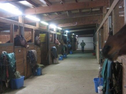 cedarbrook stables