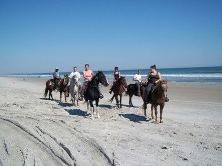 Hanover Stables - Horse Boarding Farm in Castle Hayne, North Carolina