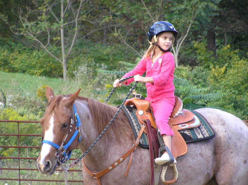 High Rock Horse Farm - Riding Instructor In Belvidere, New Jersey