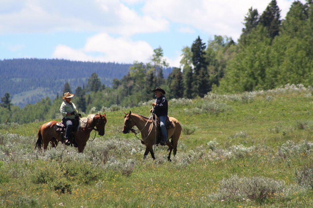 Higher Ground Horsemanship, LLC - Horse Boarding Farm in Montrose, Colorado
