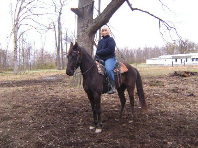 COWBOY UP KENTUCKY! Trail riding and Lessons - Riding Instructor in ...