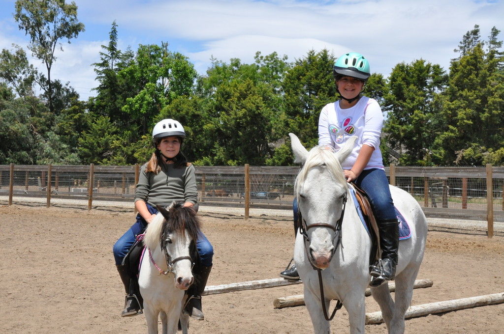 Black Bottom Farm - Riding Instructor in Manteca, California