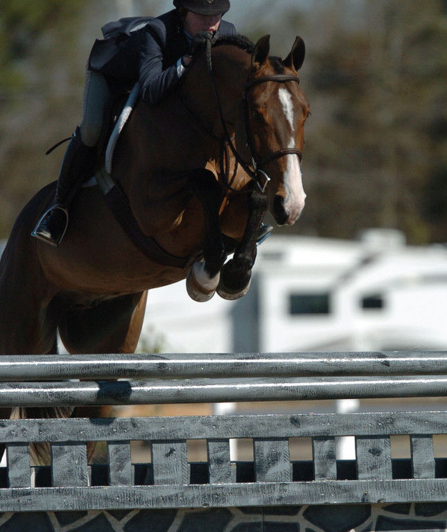 Michael Newman-Aubrey Hill Equestrian - Hunter Jumper Trainer in Pace ...