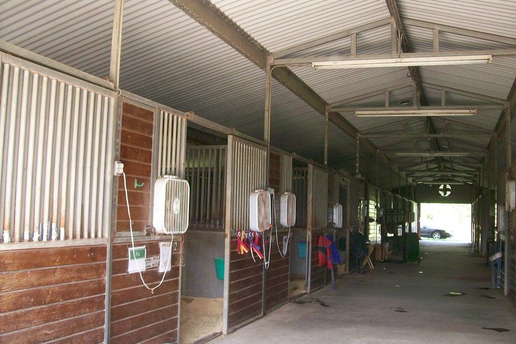 Equine International - Juan Gonzalez - Horse Boarding Farm in Tomball ...