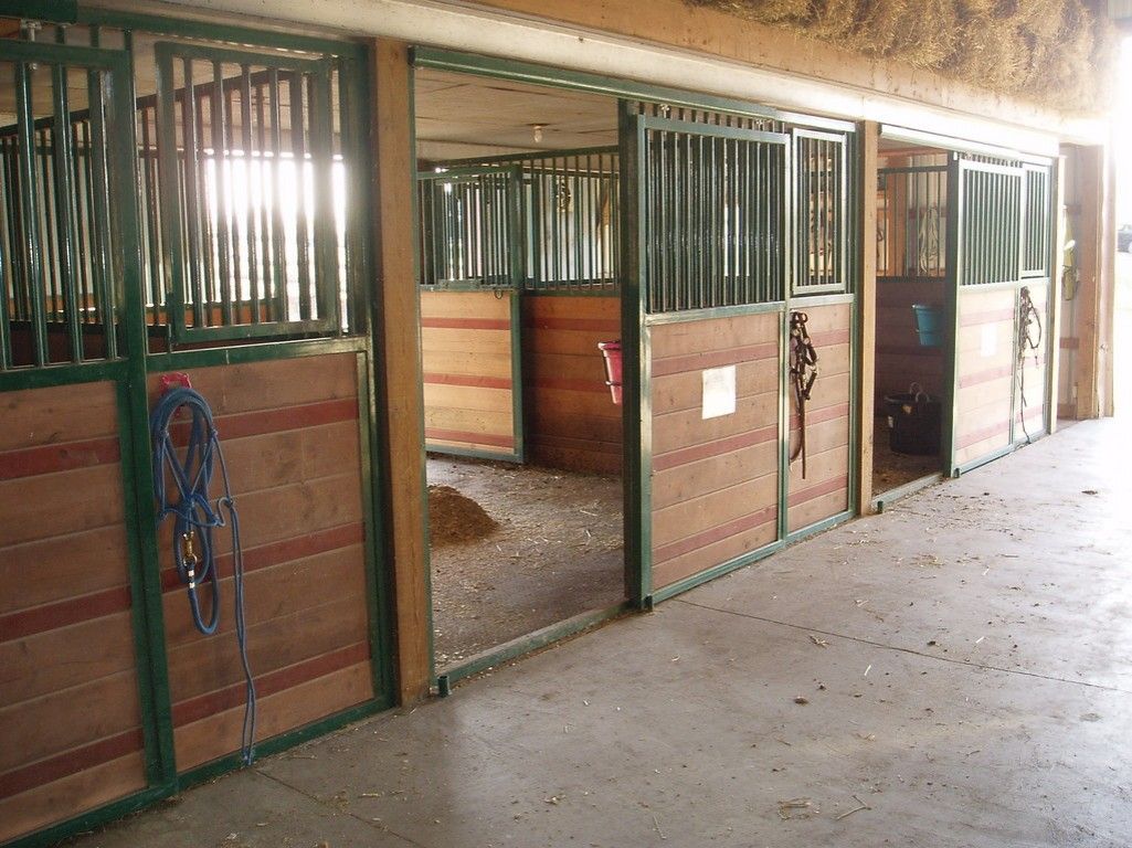 Horse Boarding in Crystal, Minnesota (Hennepin County)