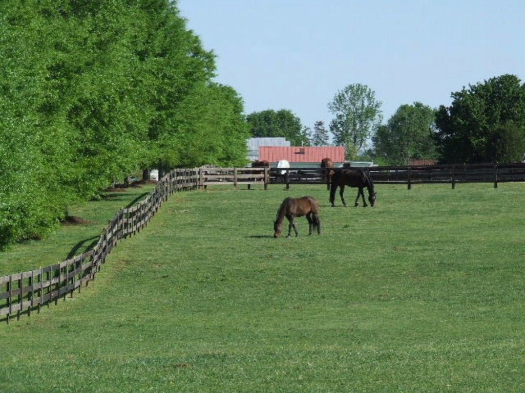 MacNair's Country Acres - Horse Boarding Farm in Raleigh, North Carolina