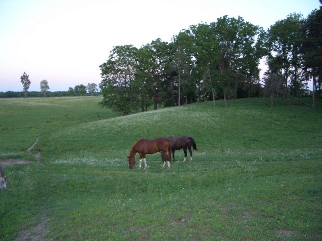 Kirklins Walnut Manor - Horse Boarding Farm in Kalamazoo, Michigan