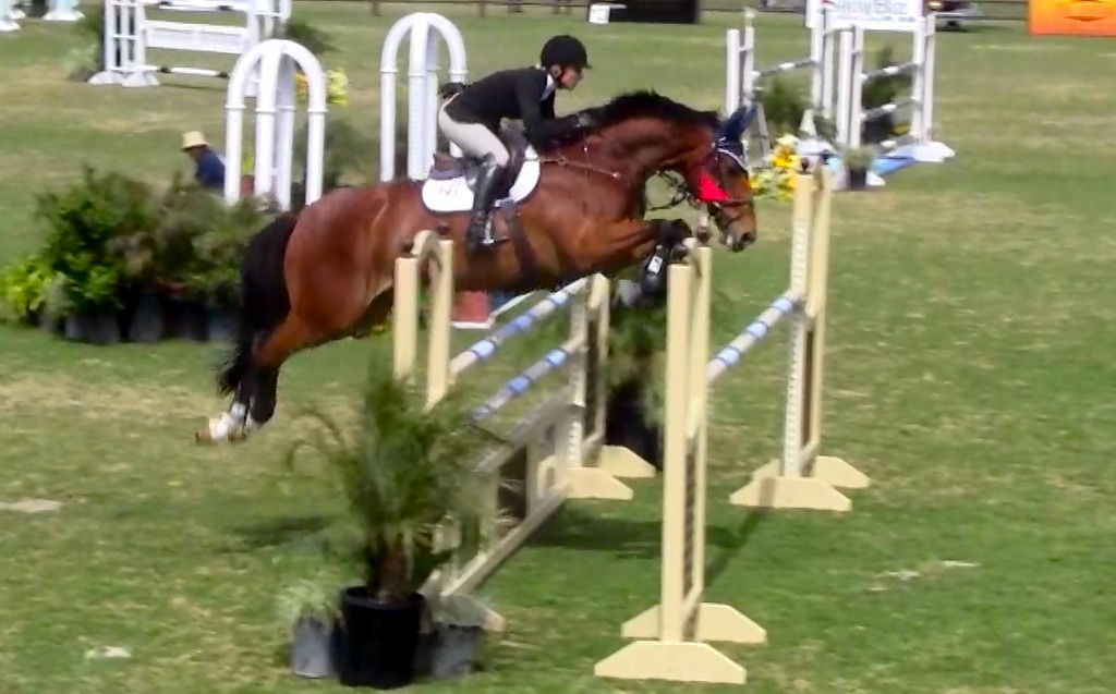 Swede Equine Show Stables - Horse Boarding Farm in San Marcos, California