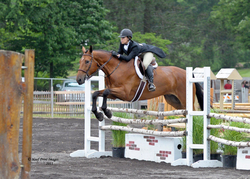 Apollo Farms ltd. - Horse Boarding Farm in Palmerton, Pennsylvania