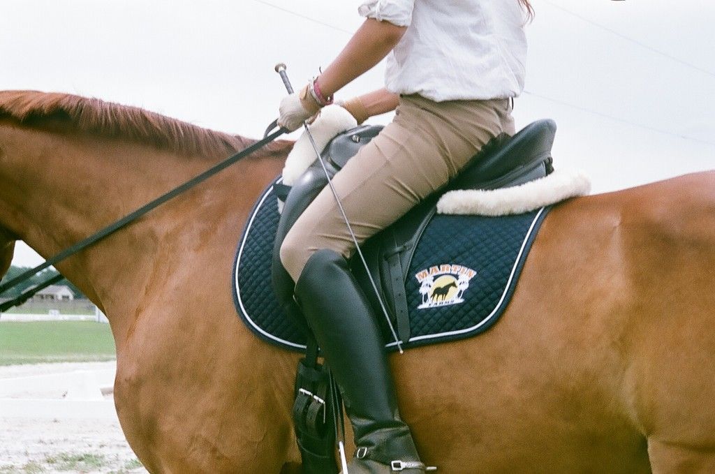 Martin Farms Equestrian Center - Horse Boarding Farm in 