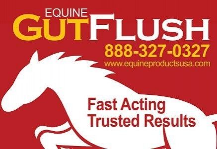 equine gutflush - horse vet in ocala, florida