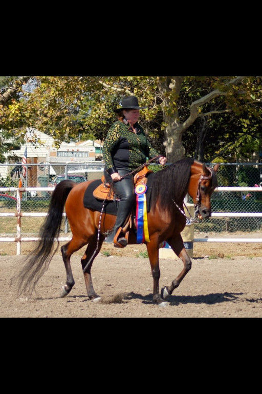 Firefly Equestrian Center - Riding Instructor in Riverton, Utah