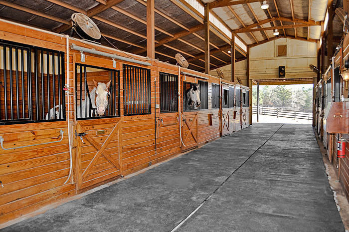 Willow Dell Equestrian Center - Horse Boarding Farm in Senoia, Georgia