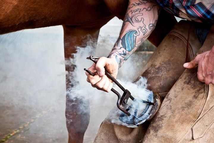 Patrick Priest Farrier Sevices 503 380 5756 - Farrier in Oregon City ...