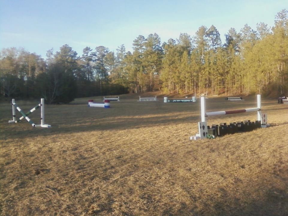 Wynnhaven Farms - Horse Boarding Farm in Ozark, Alabama