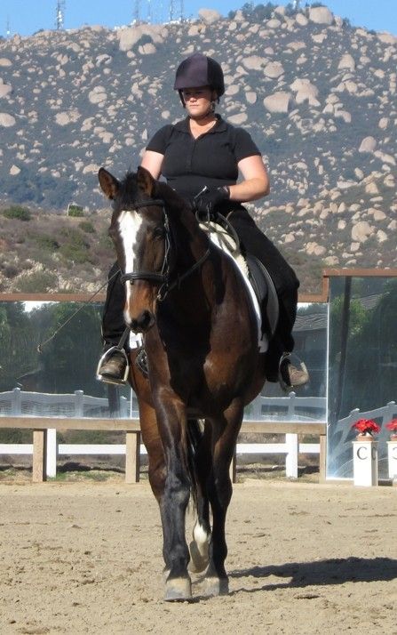 kimy-wall-dressage-trainer-in-north-anson-maine