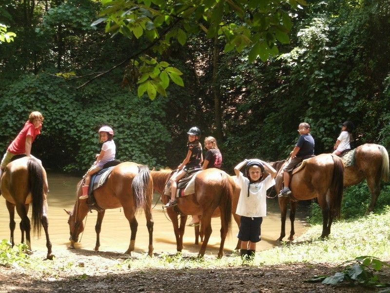 Lisa Kruger - Riding Instructor in Knoxville, Tennessee