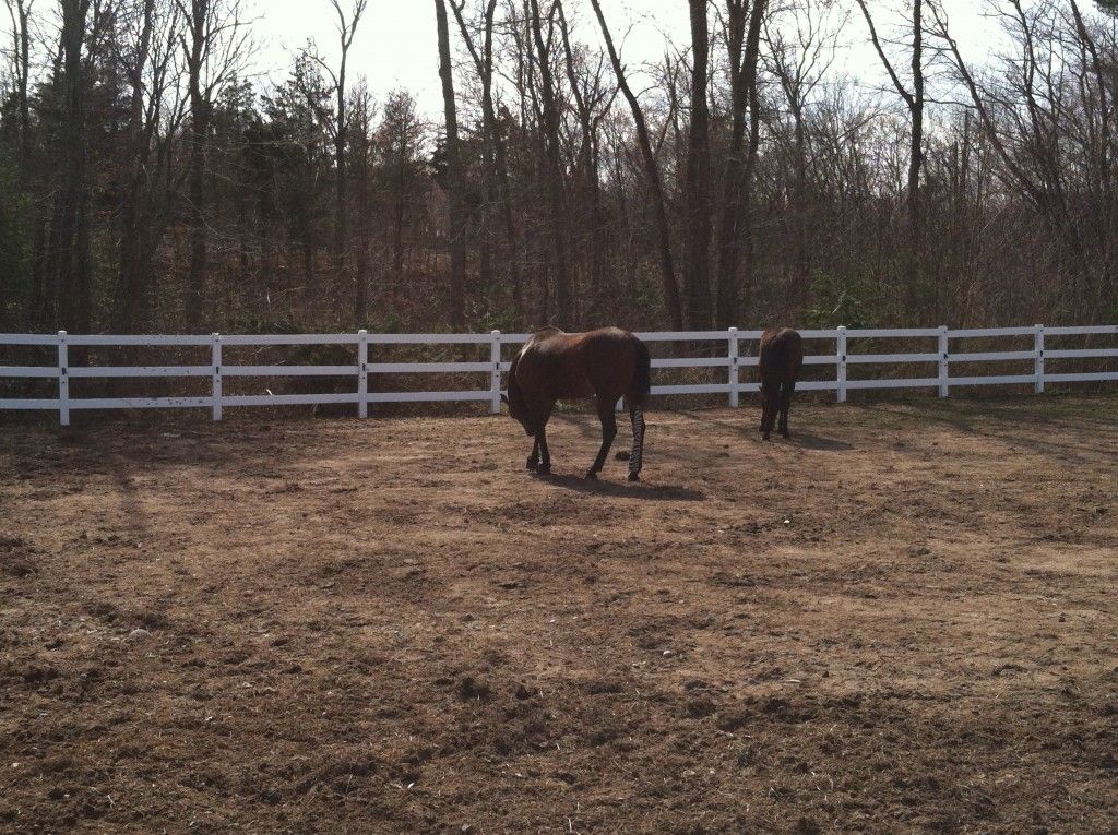 Country Road Stables - Horse Boarding Farm in Norwell, Massachusetts