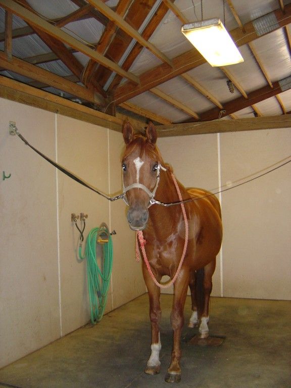 Dig-A-Ditch Ranch - Horse Boarding Farm in Elizabeth, Colorado