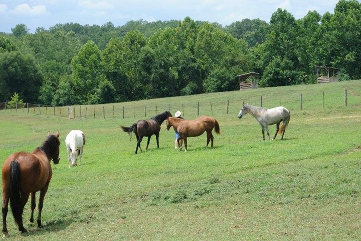 Tamarack Stables Rivers Edge - Riding Instructor in Fredericksburg ...