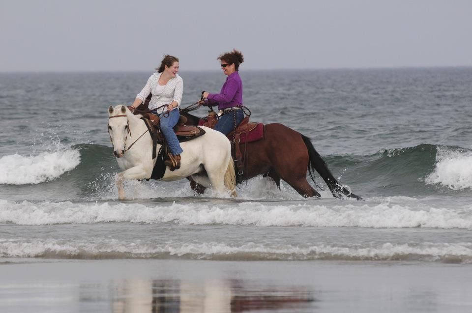 Concord Equestrian Center - Riding Instructor in Concord, New Hampshire