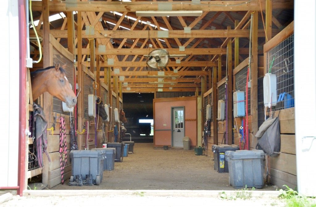 Hold Your Horses Stable - Horse Boarding Farm in Ashville, Ohio