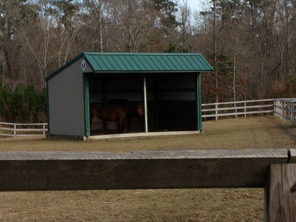 Russell's Reach Horse Boarding Farm in Wilmington, North Carolina