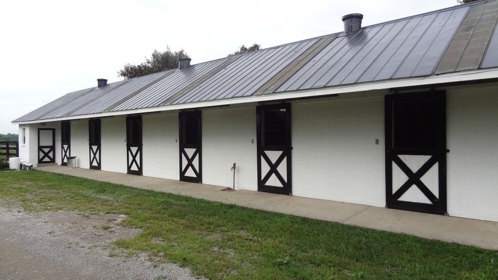 Three Crowns Farm - Horse Boarding Farm in Lexington, Kentucky