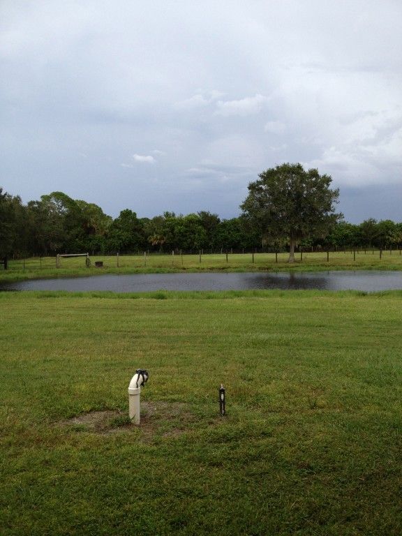 Slippery Brook Stables - Horse Boarding Farm in Tampa, Florida