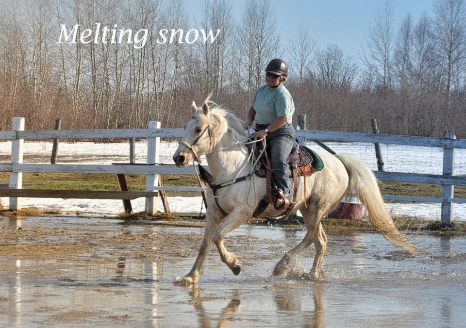 Lydia Dubanow - Riding Instructor in Timmins, Ontario