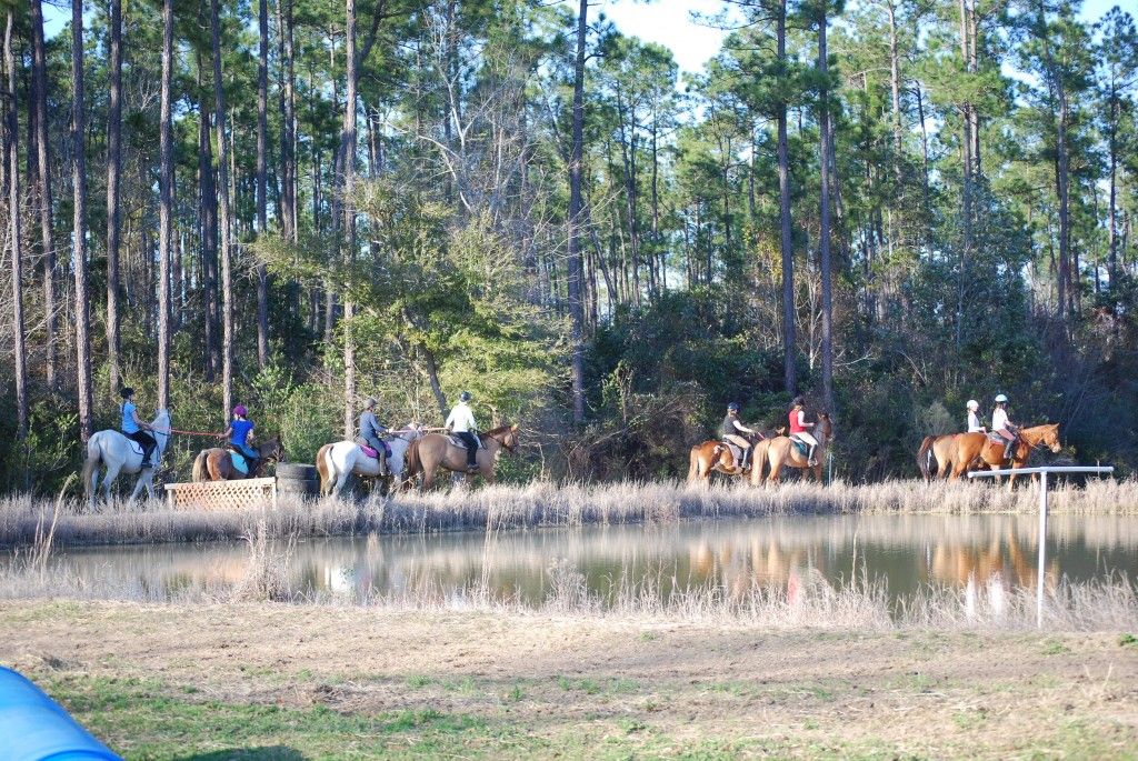 Rustic Trail Stable LLC - Riding Instructor in Milton, Florida