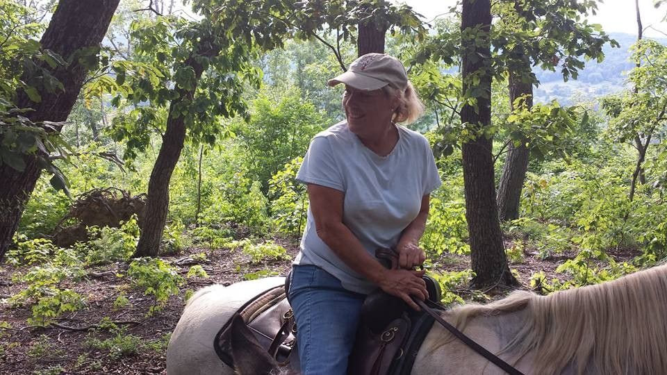 Cross Creek Horse Boarding Farm in Taylorsville, North Carolina