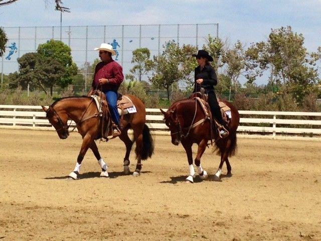 Rick Baer Training Stables - Western Trainer in Huntington Beach ...