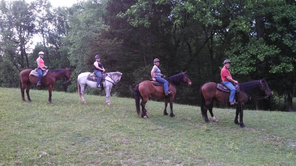 KR Quarter Horses.LLC. - Horse Boarding Farm in Fredericksburg, Virginia