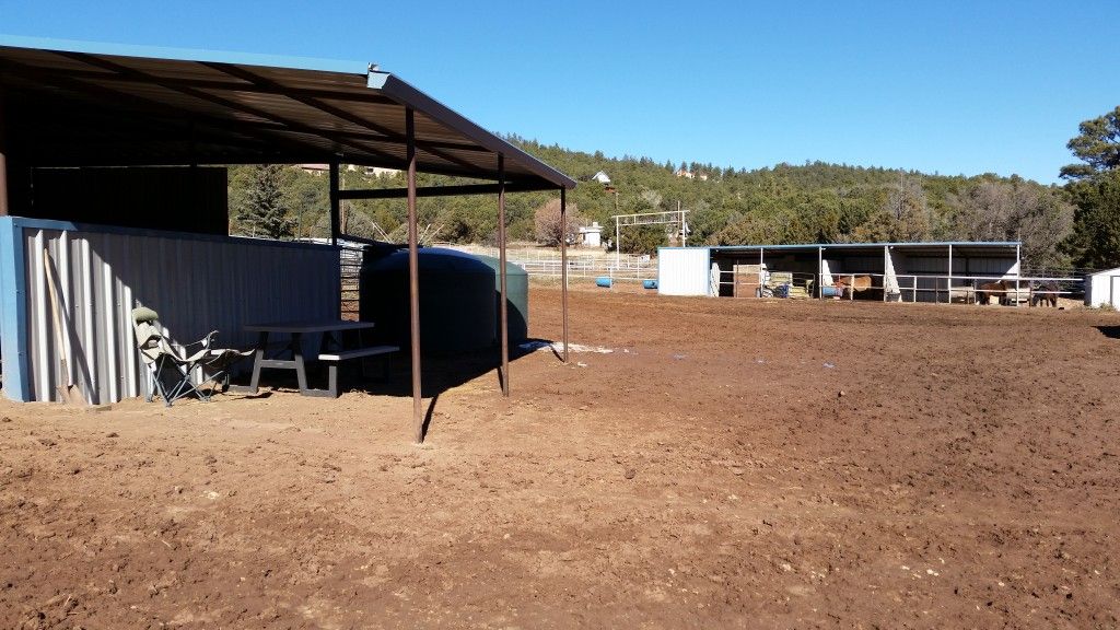 Cedar Crest Stables - Horse Boarding Farm in Cedar Crest, New Mexico