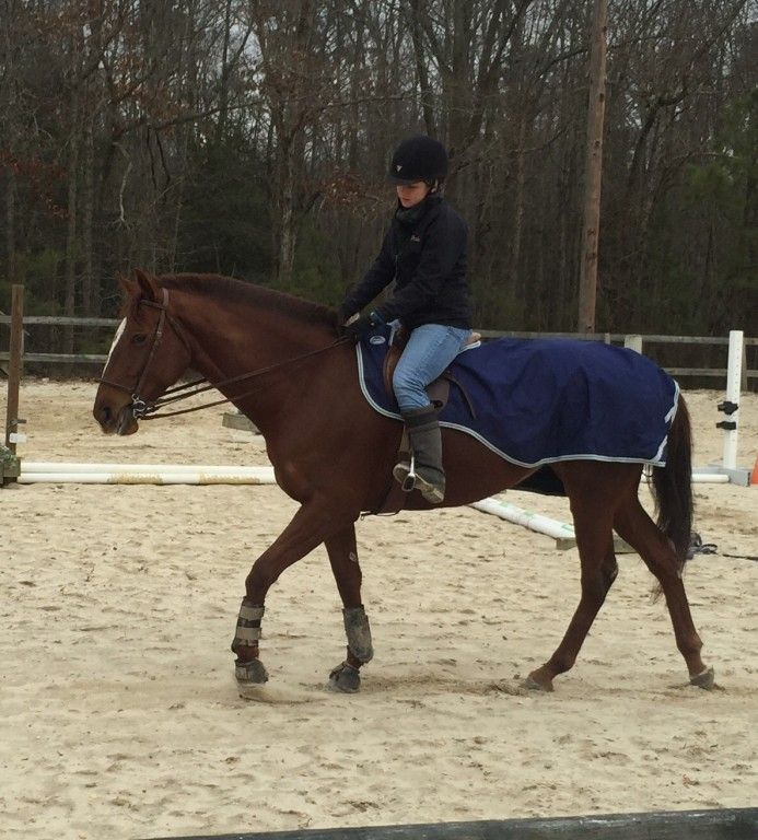 Fairway Farm - Horse Boarding Farm In Vineland, New Jersey