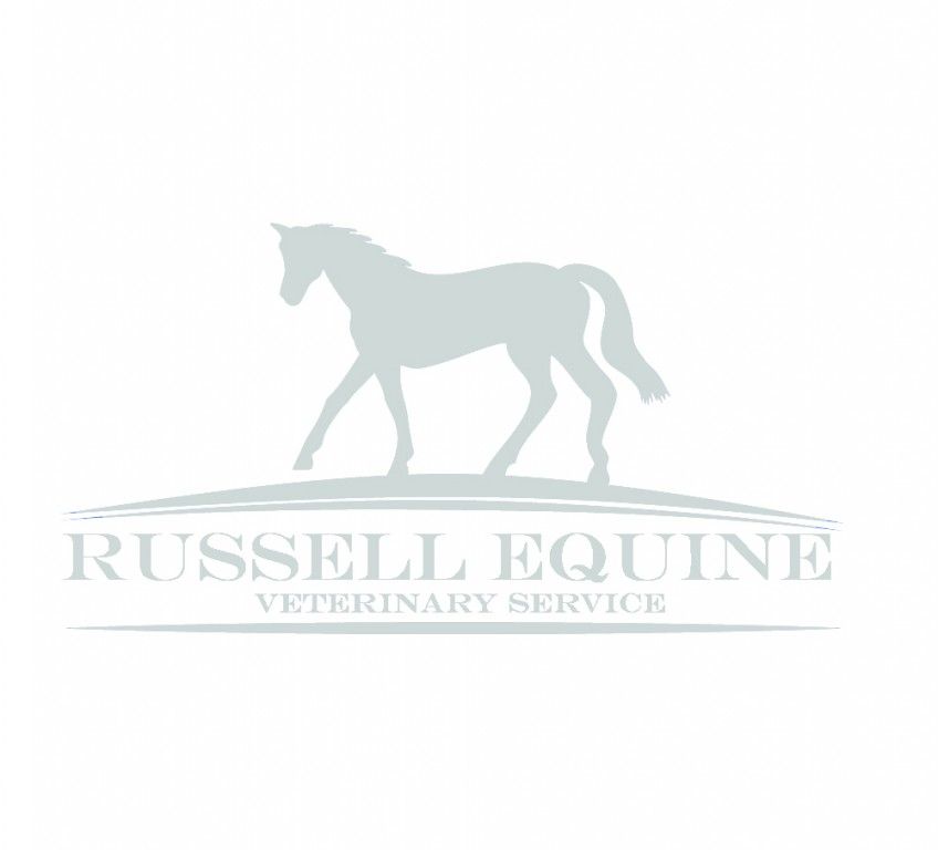 Russell Equine Veterinary Service - Horse Vet in Ottawa 